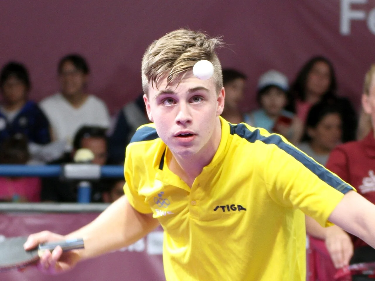 Truls Möregårdh med racket under en bordtennismatch